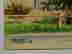 item-131785570=10
