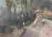 item-131785656=13