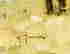 item-131785699=3