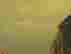 item-131785769=14