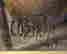item-131785884=4