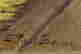item-131786172=4
