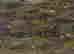 item-131786195=4