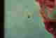 item-131786481=10