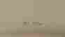 item-131786508=9