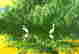 item-131787371=8