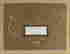 item-131787976=7