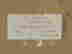 item-131788258=9