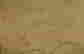 item-131789051=11