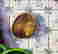 item-131789146=7