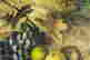 item-131789159=8