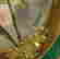 item-131789259=7