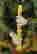 item-131789346=7