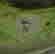 item-131789351=8