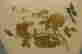 item-131789498=8