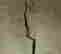 item-131789530=9