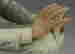 item-131789543=7