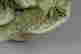 item-131789558=10
