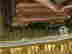 item-131789581=8