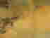 item-133984971=12