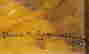 item-133984971=4