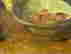 item-133985035=4