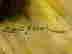 item-133985040=4