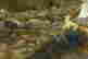 item-133985159=8
