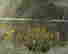 item-133985160=3