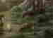 item-133985160=5