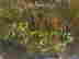 item-133985346=4