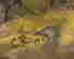 item-133985382=4