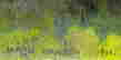 item-133985407=4