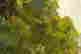 item-133985407=8