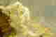 item-133985407=9