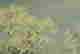 item-133985414=4
