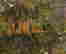 item-133985430=4
