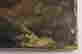 item-133985440=10