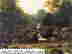 item-133985440=2