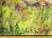 item-133985450=4