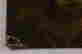 item-133985482=9