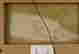 item-133985639=4
