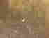item-133985646=9