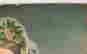 item-133985647=12