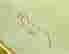 item-133985654=4
