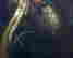 item-133985756=6