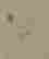 item-133985849=9