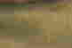 item-133985852=11