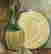 item-133985852=8