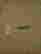item-133985855=6
